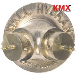 Exposed Two Way Wall Hydrant DMOCA60225F
