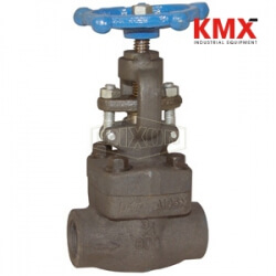 Forged Steel Globe Valve FSGLBV150