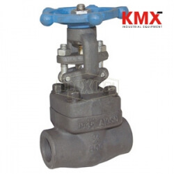 Forged Steel Gate Valve FSGV125