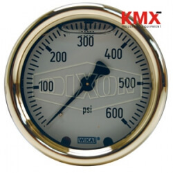 Brass Liquid Filled Gauge Center Back Mount GLBRC600