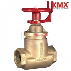 Factory Set Pressure Reducing Brass Standard Globe Valve Female x Female NAPRVF250-60