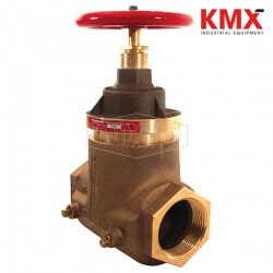 Factory Set Pressure Reducing Brass Globe Valve Female x Female NAPRVFT250-55