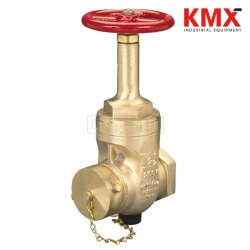 Rising Stem Wedge Disc Gate Valve RWDGV250F