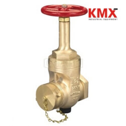 Rising Stem Wedge Disc Gate Valve RWDGV3025F