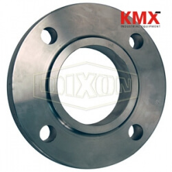 150 LB. ASA Forged Slip-On Flange SOR300