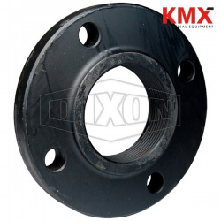 150 LB. ASA Forged NPT Threaded Flange T125