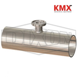 BioPharm Weld x Weld x Clamp Short Outlet Reducing Tee T7RWWMS300100PL