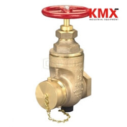 Non-rising Stem Wedge Disc Gate Valve WDGV250NYFD