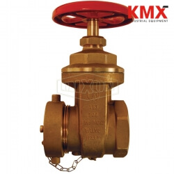 Non-rising Stem Wedge Disc Forged Gate Valve WDGV251F
