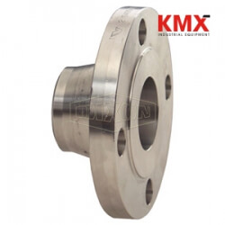 150 LB. ASA Forged Weld Neck Flange WN150