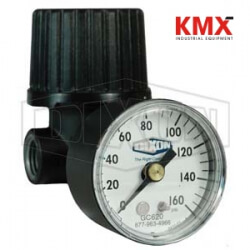 Series 1 Non-Repairable General Purpose Regulator R46-200RG