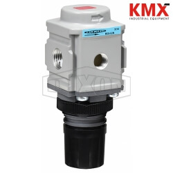 Wilkerson FRL's R08 Miniature Regulator R08-02R