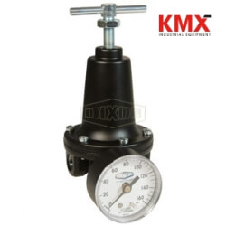 R119 Watts FRL's Standard Regulator R119-02CG