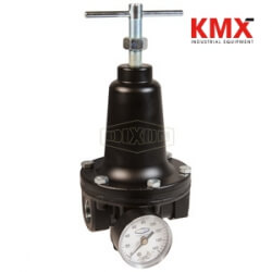 R119 Watts FRL's Standard Regulator R119-06CG