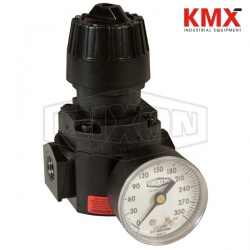 Wilkerson FRL's R16 High Pressure Compact Regulator R16-03RHG