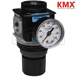 Wilkerson FRL's R28 Standard Regulator R28-06RG