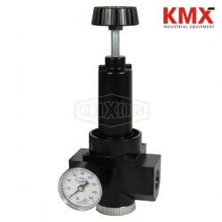 Wilkerson FRL's R30 High Flow Regulator R30-08RG