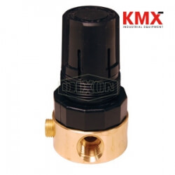 R643 Watts FRL's Miniature Regulator R364-02C