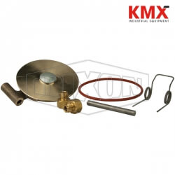 Swing Check Valve Repair Kit 300-SPK