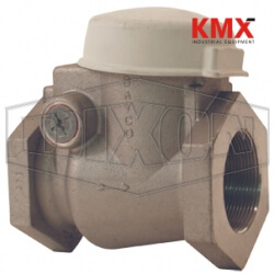Bayco High Flow Series Swing Check Valve Female NPT 3020TE