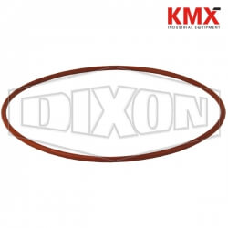 Swing Check Valve Repair Kit 3090RK1