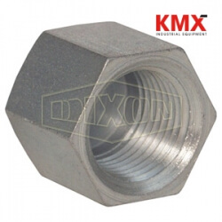 Female NPTF Hex Cap 5406C-12
