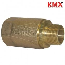 Ball Cone Check Valve Male NPT x Female NPT 61-201