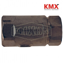 Ball Cone Check Valve Female NPT x Female NPT 62-106