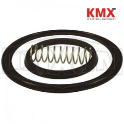 Spring Check Valve Repair Kit B46MP-RKV100